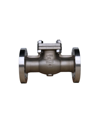 Check Valves Manufacturers